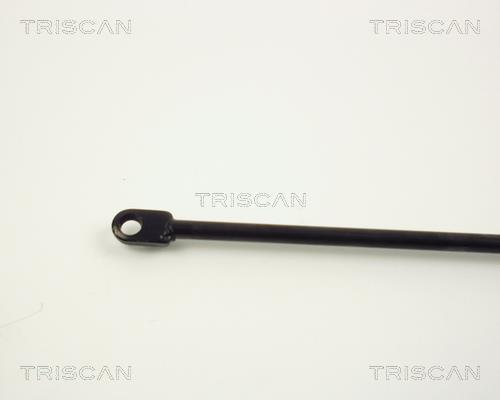 Vérin (Vérin de hayon) Triscan A/S ref. 8710 1012