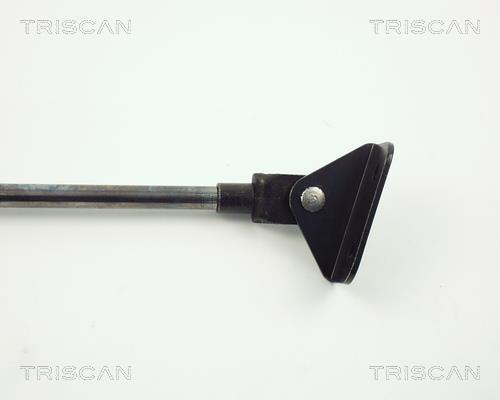 Vérin (Vérin de hayon) Triscan A/S 8710 10202