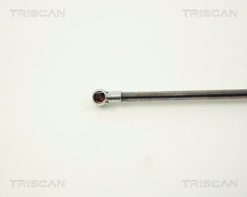 Vérin (Vérin de hayon) Triscan A/S ref. 8710 10203