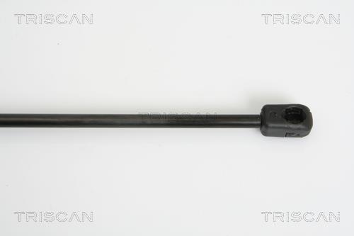Vérin (Vérin de hayon) Triscan A/S ref. 8710 10206