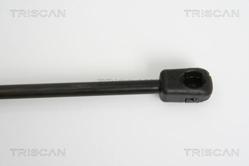 Vérin (Vérin de hayon) Triscan A/S 8710 10207