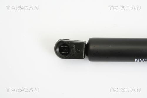 Vérin (Vérin de hayon) Triscan A/S 8710 10209