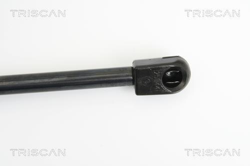 Vérin (Vérin de hayon) Triscan A/S 8710 10209