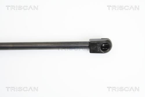 Vérin (Vérin de hayon) Triscan A/S ref. 8710 10210