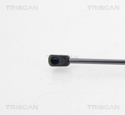 Vérin (Vérin de hayon) Triscan A/S 8710 10211