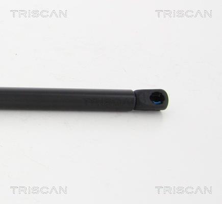 Vérin (Vérin de hayon) Triscan A/S 8710 10211