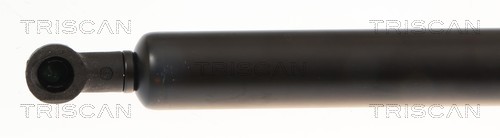Vérin (Vérin de hayon) Triscan A/S ref. 8710 10213