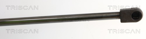 Vérin (Vérin de hayon) Triscan A/S ref. 8710 10213