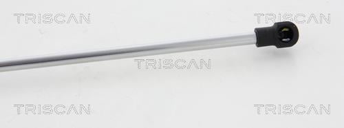 Vérin (Vérin de hayon) Triscan A/S 8710 10214