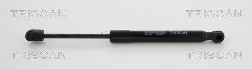 Vérin (Vérin de hayon) Triscan A/S ref. 8710 10216