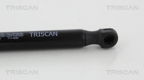 Vérin (Vérin de hayon) Triscan A/S ref. 8710 10216