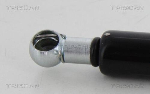 Vérin (Vérin de hayon) Triscan A/S 8710 10217