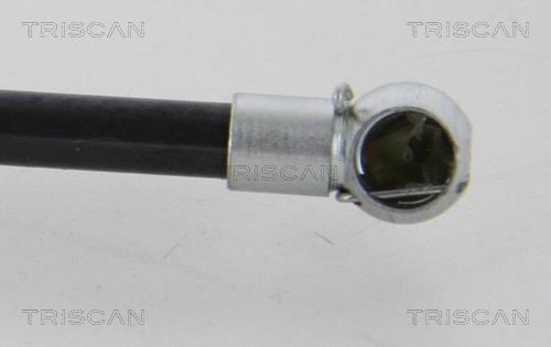 Vérin (Vérin de hayon) Triscan A/S 8710 10217