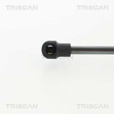 Muelle neumático Triscan A/S 8710 10218