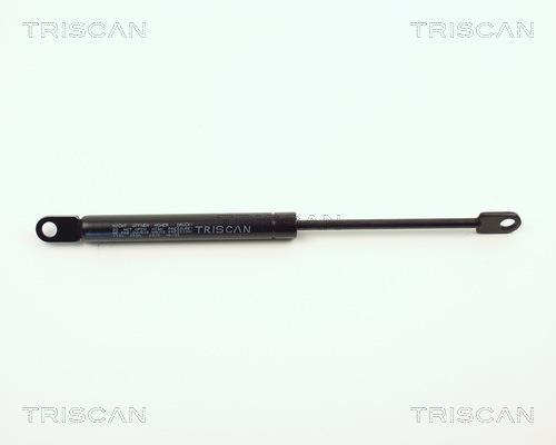 Cilindro Triscan A/S 8710 1101