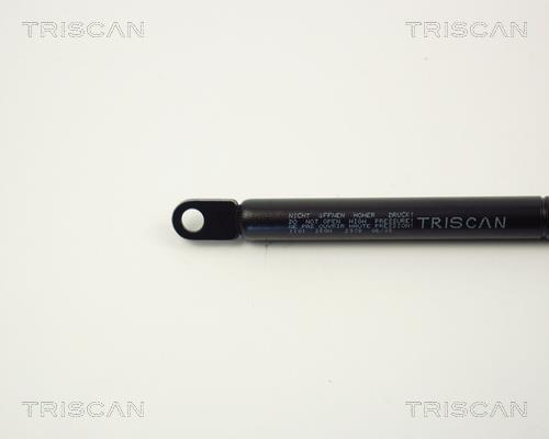 Cilindro Triscan A/S 8710 1101