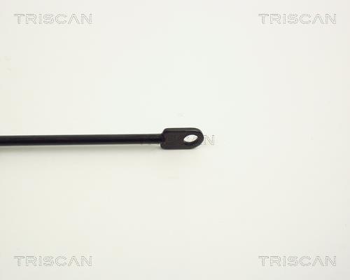 Cilindro Triscan A/S 8710 1101