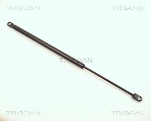 Vérin (Vérin de hayon) Triscan A/S ref. 8710 1102
