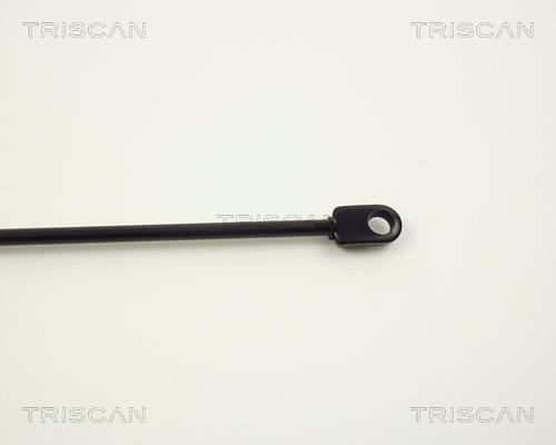 Vérin (Vérin de hayon) Triscan A/S ref. 8710 1102