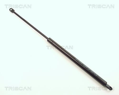 Vérin (Vérin de hayon) Triscan A/S 8710 1107