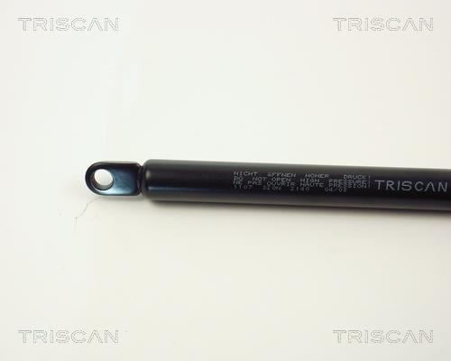 Vérin (Vérin de hayon) Triscan A/S 8710 1107