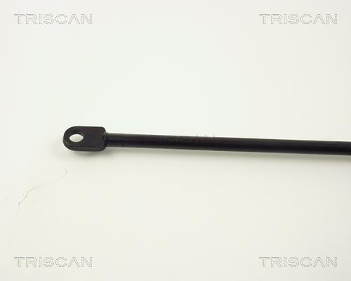 Vérin (Vérin de hayon) Triscan A/S 8710 1107
