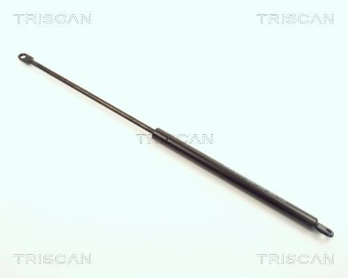 Cilindro Triscan A/S 8710 1108