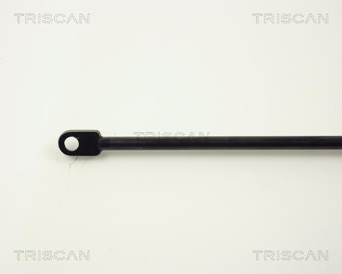 Cilindro Triscan A/S 8710 1108