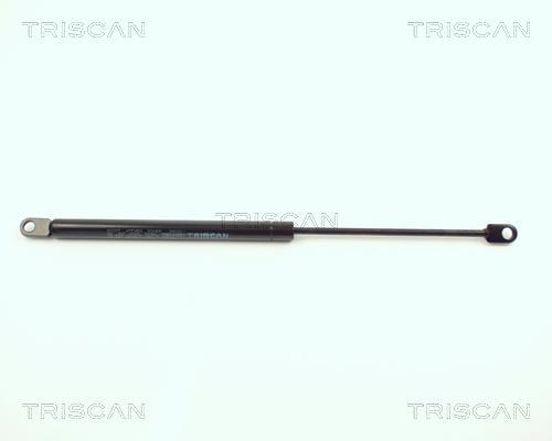 Vérin (Vérin de hayon) Triscan A/S 8710 11101