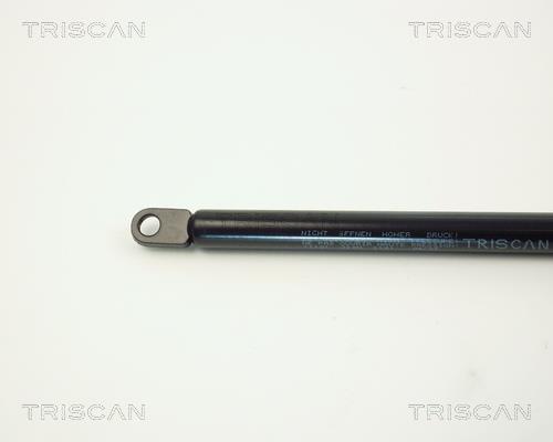 Vérin (Vérin de hayon) Triscan A/S 8710 11101