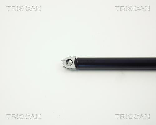 Cilindro Triscan A/S 8710 11102