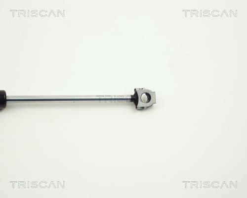 Cilindro Triscan A/S 8710 11102