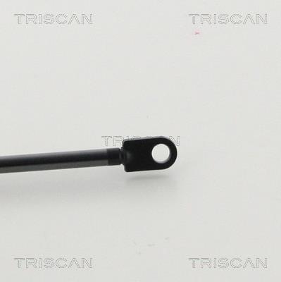 Cilindro Triscan A/S 8710 11103