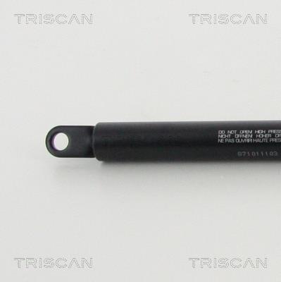 Cilindro Triscan A/S 8710 11103
