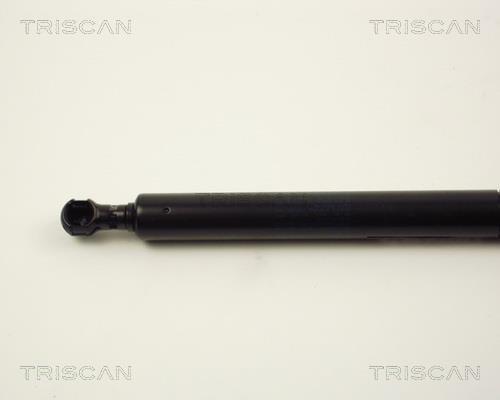 Cilindro Triscan A/S 8710 11105