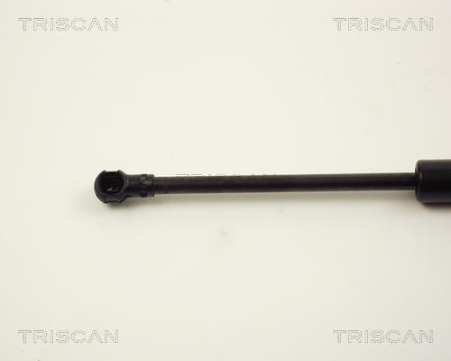 Cilindro Triscan A/S 8710 11105