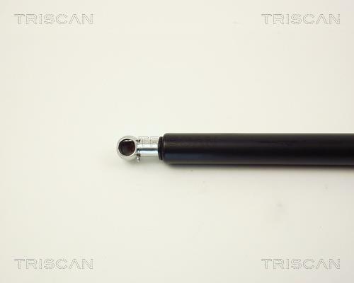 Cilindro Triscan A/S 8710 11106