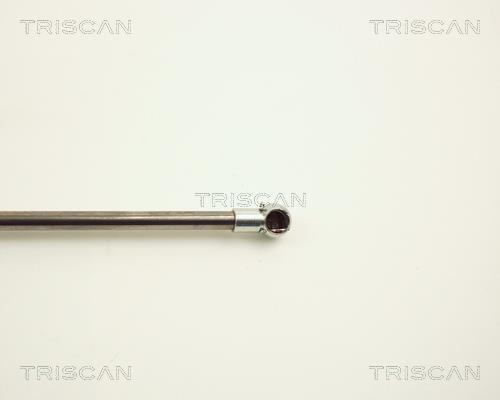 Cilindro Triscan A/S 8710 11106