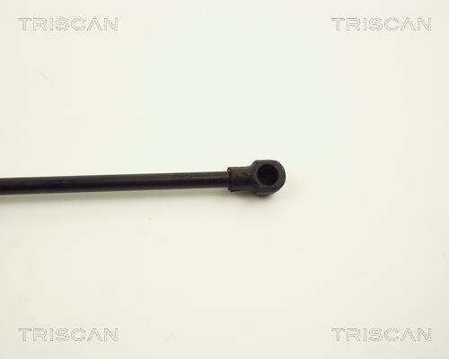 Vérin (Vérin de hayon) Triscan A/S ref. 8710 11107