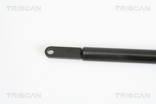 Vérin (Vérin de hayon) Triscan A/S ref. 8710 11108