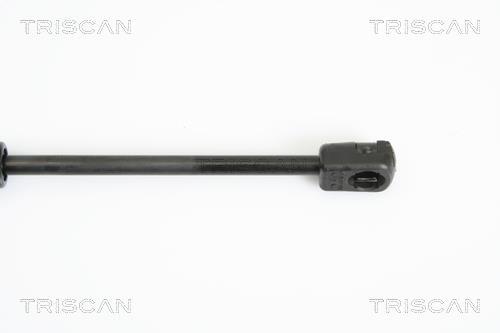 Vérin (Vérin de hayon) Triscan A/S ref. 8710 11108