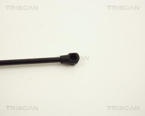 Vérin (Vérin de hayon) Triscan A/S ref. 8710 11109