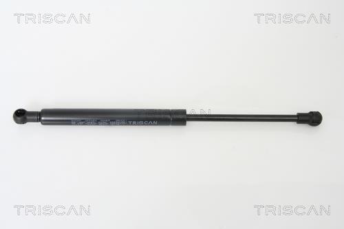 Vérin (Vérin de hayon) Triscan A/S 8710 11110