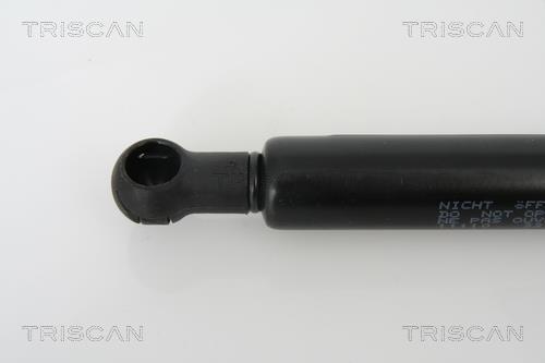Vérin (Vérin de hayon) Triscan A/S 8710 11110