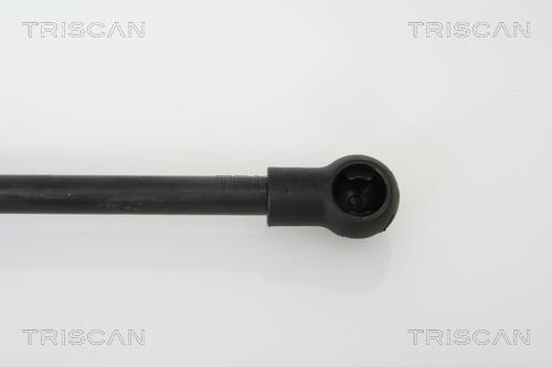 Vérin (Vérin de hayon) Triscan A/S 8710 11110