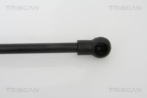 Cilindro Triscan A/S 8710 11111