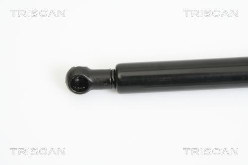 Vérin (Vérin de hayon) Triscan A/S ref. 8710 11115