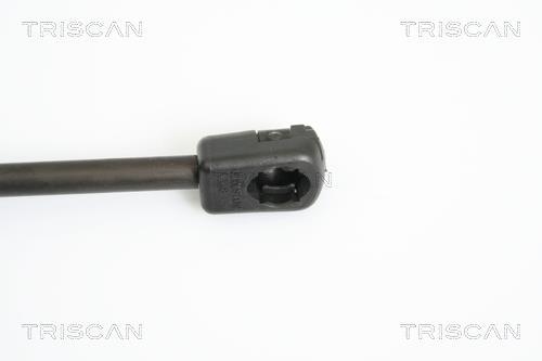 Vérin (Vérin de hayon) Triscan A/S ref. 8710 11115