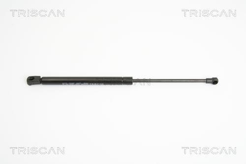 Vérin (Vérin de hayon) Triscan A/S ref. 8710 11116