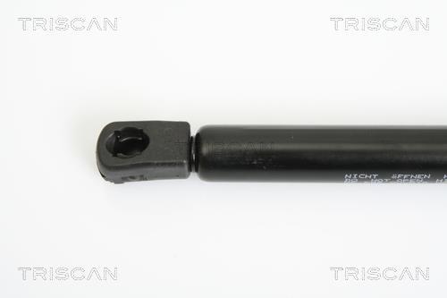 Vérin (Vérin de hayon) Triscan A/S ref. 8710 11116